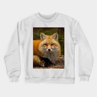 Red Fox Crewneck Sweatshirt